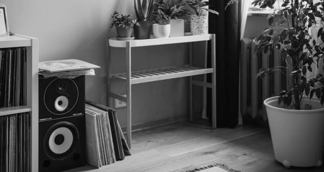 zx9-speaker