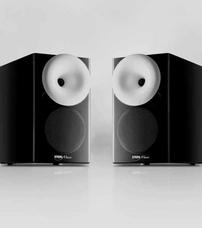 zx9-speaker